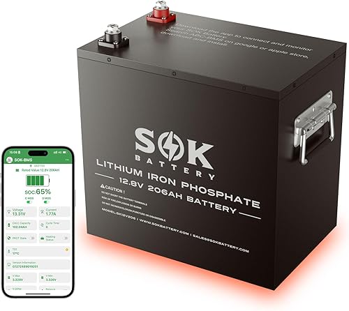 SOK 12V 206Ah LiFePO4 Battery, 8000+ Deep Cycle Smart BMS, 170A Max Continuous Discharge & 70A Max Charge, Built-in Heater & Bluetooth, Metal Case for RV, Solar, Camper, Trailer, Off Grid